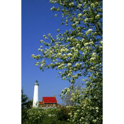 MI, East Tawas Tawas Lighthouse and cherry trees